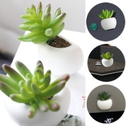 Aimants décoratifs pour frigo - décoration de table / bureau - cactus - orchidée
