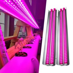 Bandes lumineuses LED 100W pour la culture de plantes d'intérieur - éclairage de croissance