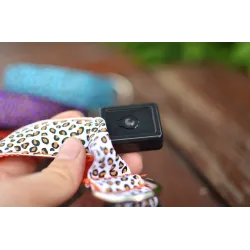 Collier LED pour chien - promenade nocturne de sécurité - imprimé léopard coloré