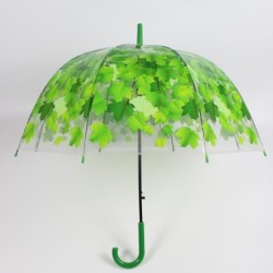 Transparante kleurrijke paraplu - lange steel - esdoornbladerenOutdoor & Kamperen