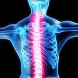 Orthopaedic back support belt - posture correction - back corrector with magnetsHealth & Beauty