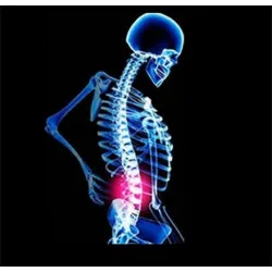 Orthopaedic back support belt - posture correction - back corrector with magnetsHealth & Beauty
