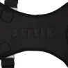 Orthopaedic back support belt - posture correction - back corrector with magnetsHealth & Beauty