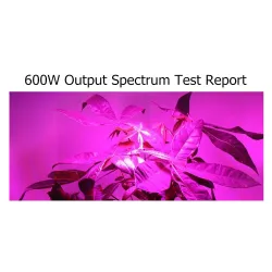 LED plant grow light - double chip LED - panel - 600WGrow Lights
