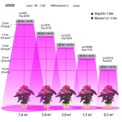 LED plant grow light - double chip LED - panel - 600WGrow Lights