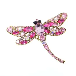 Kristallen libelle brocheBroches