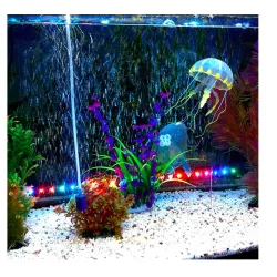 Siliconenkwallen - aquariumdecoratieDecoraties