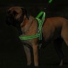 Reflecterend nylon hondenharnas - vest - snelle pasvormHalsbanden en Lijnen