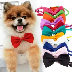 Decoratieve vlinderdas - halsband - voor hond/kat - verstelbare riemHalsbanden en lijnen