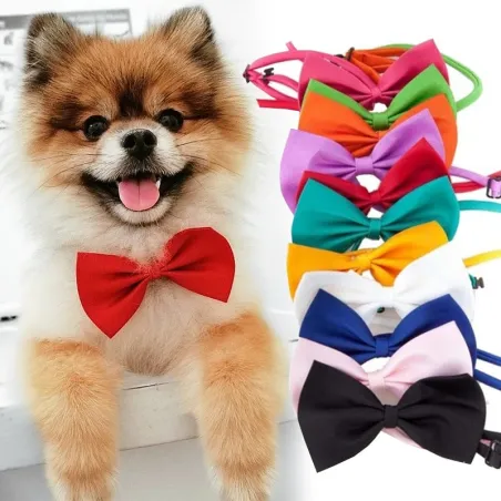 Decoratieve vlinderdas - halsband - voor hond/kat - verstelbare riemHalsbanden en lijnen