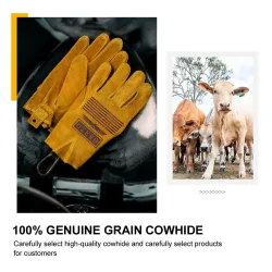 Safety / work gloves - stretchable - wood cutting / gardening - leatherSafety & protection