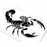 3D scorpion - car stickerStickers