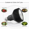 Lampe de culture à LED - ampoule - spectre complet - COB - E27