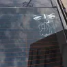 Vinyl car sticker - eyes / middle fingerStickers