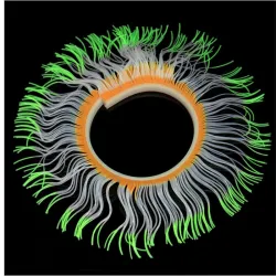 Aquarium decoration - silicone luminous sea anemoneDecorations