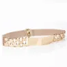 Fashion elastic belt - with metal golden decorationBelts