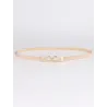 Elegante gouden elastische riemRiemen
