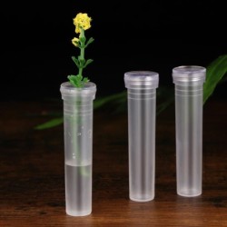 Doorzichtige plastic kokers - mini bloemenhouder - waterbakje - 50 stuksTuin