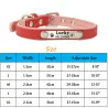 Honden/katten halsband - ID Tag - gepersonaliseerd - gegraveerd - leerHalsbanden en lijnen