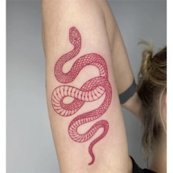 Tijdelijke tattoo - sticker - rode slangStickers