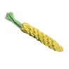 Bite resistant pet toy - carrotToys