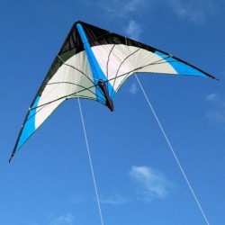 Cerf-volant en forme de triangle - avec double ligne / poignée