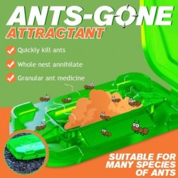 Appât anti-fourmis - poudre tueuse