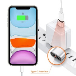 USB vers type C - Adaptateur OTG - USB-C - mâle vers micro USB type-C femelle - convertisseur - 2 pièces
