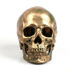 Crâne humain fabriqué à partir de résine artisanale - bronze