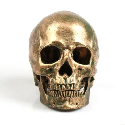 Menselijke schedel gemaakt van hars - bronsBeelden & Sculpturen