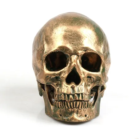 Human skull made from resin craft - bronzeStatues & Sculptures