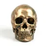 Human skull made from resin craft - bronzeStatues & Sculptures