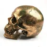 Human skull made from resin craft - bronzeStatues & Sculptures