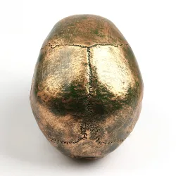 Human skull made from resin craft - bronzeStatues & Sculptures