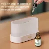 Ultrasonic air humidifier - essential oils diffuser - colorful LED flameHumidifiers