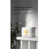 Ultrasonic air humidifier - essential oils diffuser - colorful LED flameHumidifiers