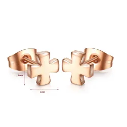 Rose Gold Steel Earrings 2 paarOorbellen
