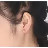 Rose Gold Steel Earrings 2 paarOorbellen