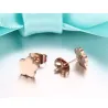 Rose Gold Steel Earrings 2 paarOorbellen