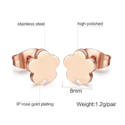 Rose Gold Steel Earrings 2 paarOorbellen