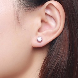 Shiny Crystal Stud Small EarringsOorbellen