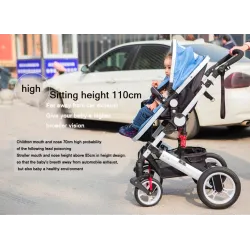 Two Way Stroller Baby's Pram 0-3 YearsBaby & Kinderen
