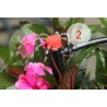 360 degree ground inserting garden watering adjustable sprinklers 50 pcsSproeiers