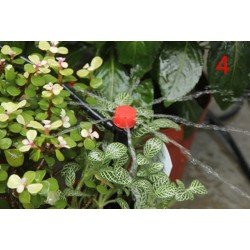 360 degree ground inserting garden watering adjustable sprinklers 50 pcsSproeiers