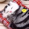 Simulated animal sleeping cat plush toy with soundKnuffels