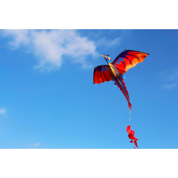 Kleurrijke vliegende draak - vlieger - 140 * 120cmVliegers