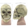 Skull full head halloween maskMaskers