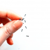 Nintendo Switch cross + type screws 10 pcsSwitch