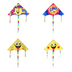 Triangle smiling face - kite 80 cmVliegers