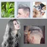 Couleur des cheveux cire - une fois coiffure - pâte de modelage